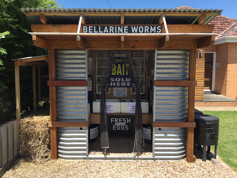 All Products  Bellarine Worms