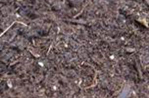 bellarine-worms-bulk-garden-compost