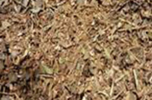 bellarine-worms-bulk-tree-mulch
