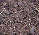 bulk-garden-compost